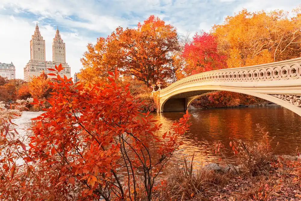 New York, United States of America